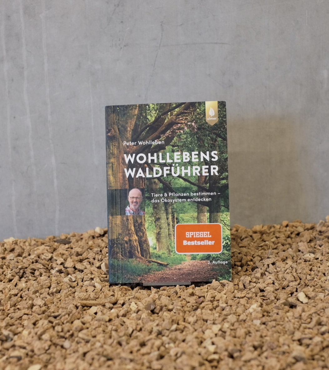 Buch Wohllebens Waldführer