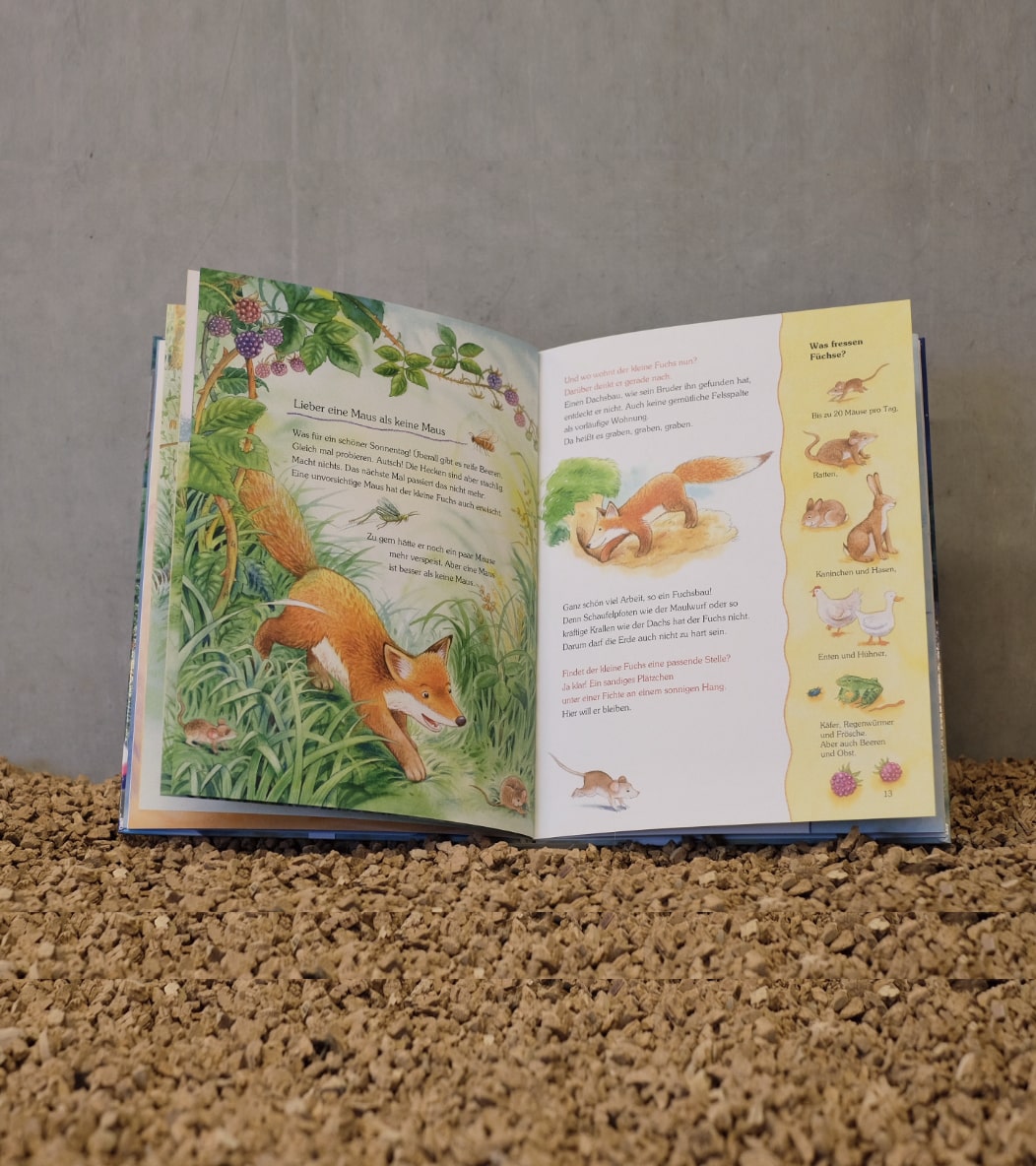 Buch Der kleine Fuchs und die Tiere im Wald